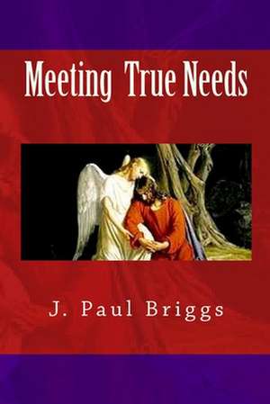 Meeting One's True Needs de J. Paul Briggs