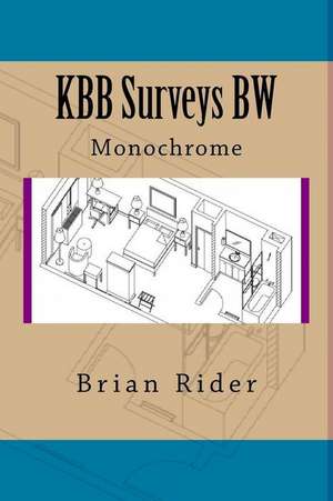 Kbb Surveys Bw de Brian Rider