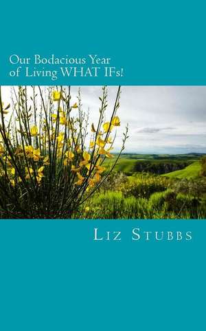 Our Bodacious Year of Living What Ifs! de Liz Stubbs