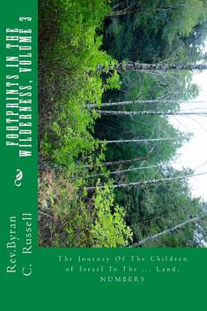 Footprints in the Wilderness de Rev Byran C. Russell