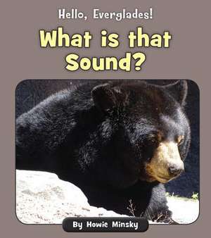 What Is That Sound? de Howie Minsky