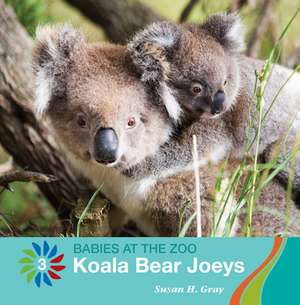 Koala Bear Joeys de Susan H. Gray