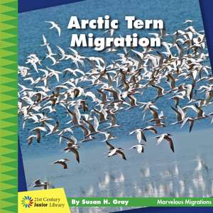 Arctic Tern Migration de Susan H. Gray