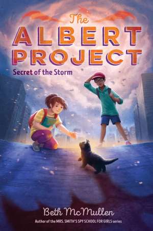 Secret of the Storm de Beth Mcmullen