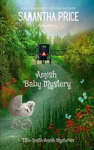 Amish Baby Mystery de Samantha Price