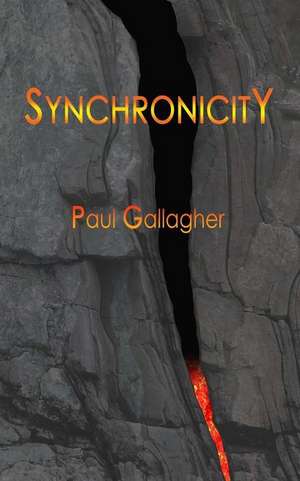 Synchronicity de Paul Gallagher