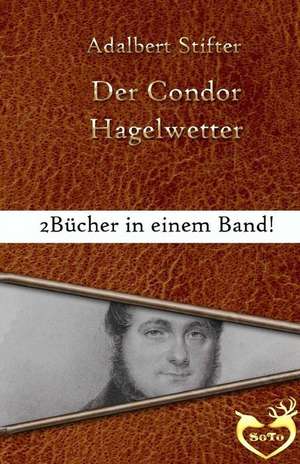 Der Condor de Adalbert Stifter