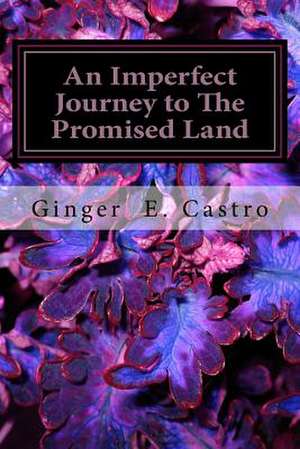 An Imperfect Journey to the Promised Land de Ginger Esperanza Castro