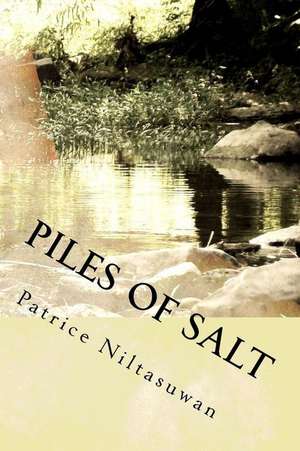 Piles of Salt de Niltasuwan, Patrice M.