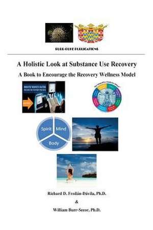 A Holistic Look at Substance Use Recovery de Dr Richard D. Davila Ph. D.