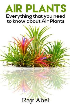 Air Plants de Ray Abel