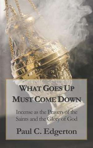 What Goes Up Must Come Down de Paul C. Edgerton