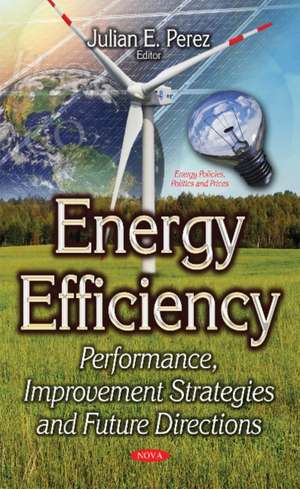 Energy Efficiency: Performance, Improvement Strategies & Future Directions de Julian E Perez