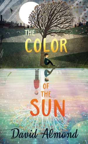 The Color of the Sun de David Almond