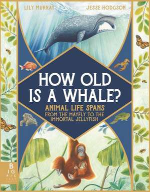 How Old Is a Whale?: Animal Life Spans from the Mayfly to the Immortal Jellyfish de Lily Murray