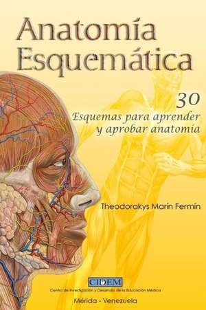 Anatomia Esquematica de Theodorakys Marin Fermin