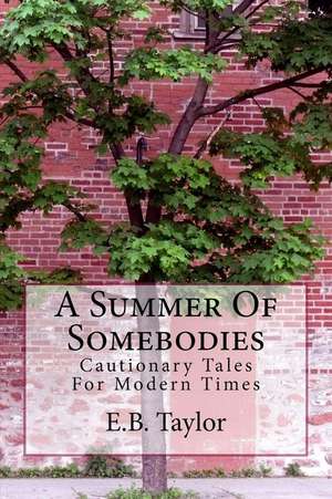 A Summer of Somebodies de E. B. Taylor