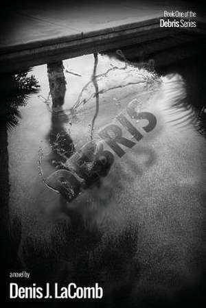 Debris de Denis J. Lacomb