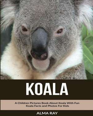 Koala de Alma Ray