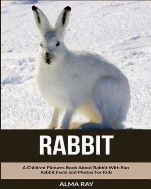 Rabbit de Alma Ray