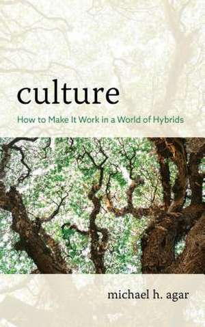 CULTURE HOW TO MAKE IT WORK ICB de Michael H. Agar