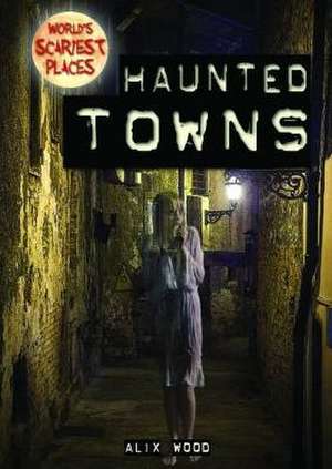 Haunted Towns de Alix Wood