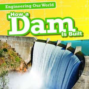 How a Dam Is Built de Elizabeth Krajnik