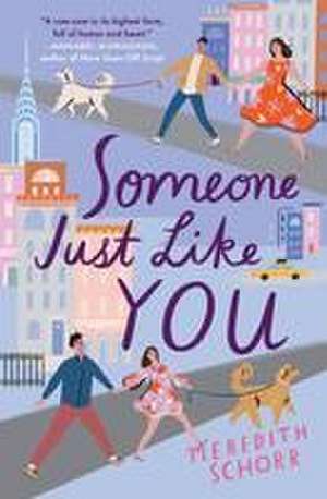 Someone Just Like You de Meredith Schorr