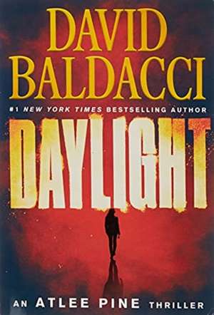 Daylight de David Baldacci