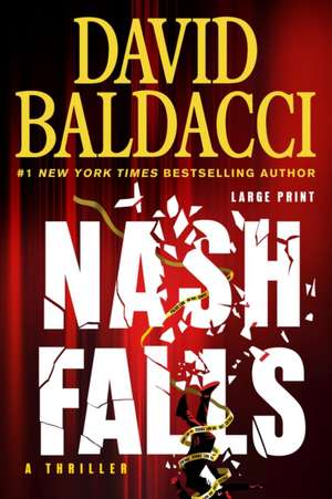 Nash Falls de David Baldacci