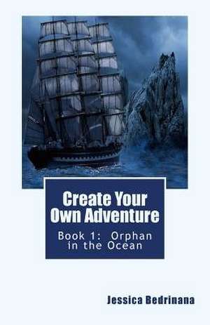 Create Your Own Adventure de Jessica Bedrinana