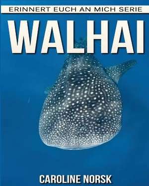 Walhai de Caroline Norsk