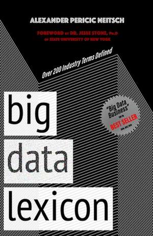 Big Data Lexicon de Alexander Pericic