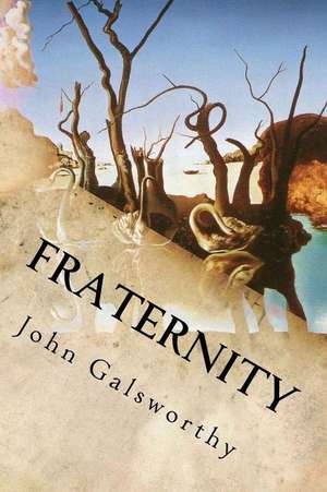 Fraternity de John Galsworthy