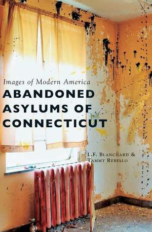 Abandoned Asylums of Connecticut de L F Blanchard