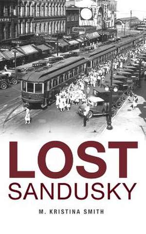 Lost Sandusky de M. Kristina Smith