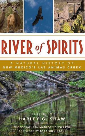 River of Spirits de Harley G Shaw