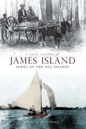 A Brief History of James Island de Douglas W. Bostick