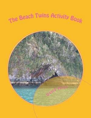 The Beach Twins Activity Book de David Feist