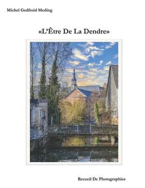 L'Etre de La Dendre de Meding, MR Michel Godfroid