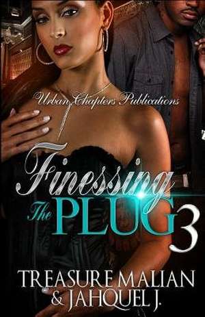 Finessing the Plug 3 de Jahquel J