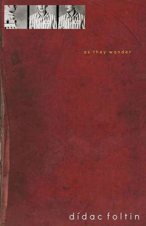 As They Wander de Foltin, Didac