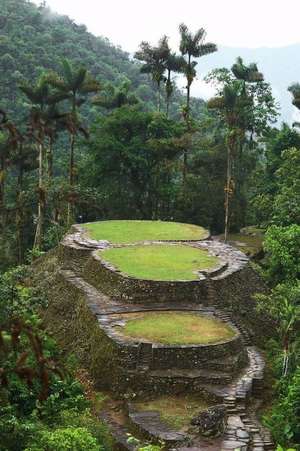 Main Terraces and Frog Stone in Ciudad Perdida (Lost City) Columbia Journal de Press, Benton