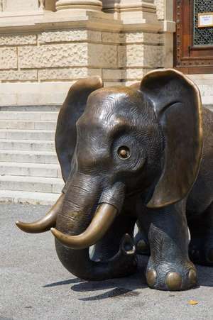 Little Bronze Elephant Outside National History Museum Vienna Austria Journal de Press, Benton