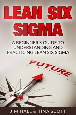 Lean Six SIGMA de Jim Hall