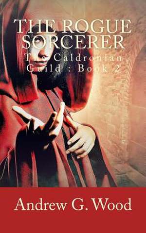 The Rogue Sorcerer de Andrew G. Wood