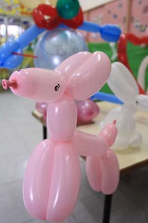 Fun Pink Dog Balloon Animal Journal de Cs Creations