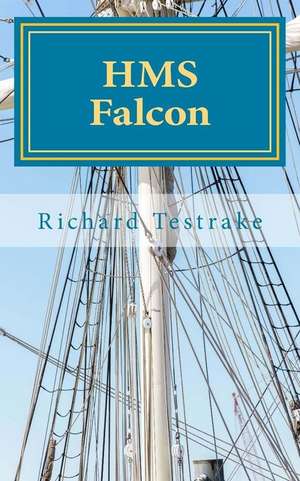 HMS Falcon de Richard Testrake