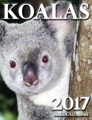 Koalas 2017 Wall Calendar de Lotus Art