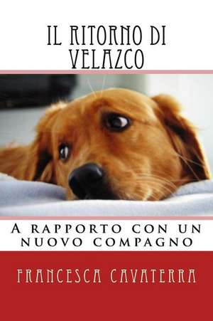 Il Ritorno Di Velazco. de Francesca Cavaterra